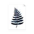 Picture of Blue Fern _GroupedProduct_Rectangle_Portrait_Unframed_Print_Only_