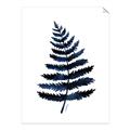 Picture of Blue Fern _GroupedProduct_Rectangle_Portrait_Unframed_Print_Only_