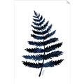 Picture of Blue Fern _GroupedProduct_Rectangle_Portrait_Unframed_Print_Only_