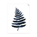 Picture of Blue Fern _GroupedProduct_Rectangle_Portrait_Unframed_Print_Only_