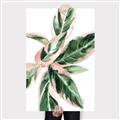 Picture of Leafy I _GroupedProduct_Rectangle_Portrait_Canvas_