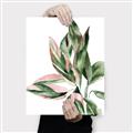 Picture of Leafy II _GroupedProduct_Rectangle_Portrait_Canvas_