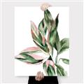 Picture of Leafy II _GroupedProduct_Rectangle_Portrait_Canvas_
