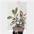 Picture of Pink Leaf House Plant _GroupedProduct_Rectangle_Portrait_Canvas_