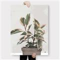 Picture of Pink Leaf House Plant _GroupedProduct_Rectangle_Portrait_Canvas_