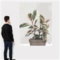 Picture of Pink Leaf House Plant _GroupedProduct_Rectangle_Portrait_Canvas_