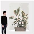 Picture of Pink Leaf House Plant _GroupedProduct_Rectangle_Portrait_Canvas_