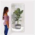 Picture of House Ficus _GroupedProduct_Panel_Portrait_Canvas_