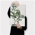 Picture of Leaf Garden _GroupedProduct_Rectangle_Portrait_Canvas_