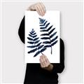 Picture of Two Blue Ferns _GroupedProduct_Rectangle_Portrait_Canvas_