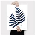 Picture of Two Blue Ferns _GroupedProduct_Rectangle_Portrait_Canvas_
