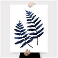 Picture of Two Blue Ferns _GroupedProduct_Rectangle_Portrait_Canvas_