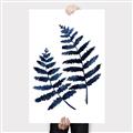 Picture of Two Blue Ferns _GroupedProduct_Rectangle_Portrait_Canvas_
