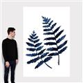 Picture of Two Blue Ferns _GroupedProduct_Rectangle_Portrait_Canvas_