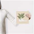 Picture of Plant Shoe Beige _GroupedProduct_Square_Canvas_