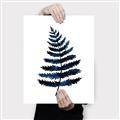 Picture of Blue Fern _GroupedProduct_Rectangle_Portrait_Canvas_