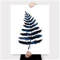 Picture of Blue Fern _GroupedProduct_Rectangle_Portrait_Canvas_