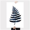 Picture of Blue Fern _GroupedProduct_Rectangle_Portrait_Canvas_