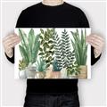 Picture of Plant Party _GroupedProduct_Rectangle_Landscape_Canvas_