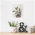 Picture of Pink Leaf House Plant _GroupedProduct_Rectangle_Portrait_Canvas_