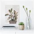 Picture of Pink Leaf House Plant _GroupedProduct_Rectangle_Portrait_Canvas_