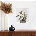 Picture of Pink Leaf House Plant _GroupedProduct_Rectangle_Portrait_Canvas_