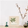 Picture of Plant Shoe Beige _GroupedProduct_Square_Canvas_