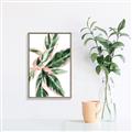 Picture of Leafy I _GroupedProduct_Rectangle_Portrait_Canvas_Framed_