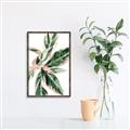 Picture of Leafy I _GroupedProduct_Rectangle_Portrait_Canvas_Framed_