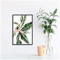 Picture of Leafy I _GroupedProduct_Rectangle_Portrait_Canvas_Framed_