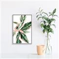 Picture of Leafy I _GroupedProduct_Rectangle_Portrait_Canvas_Framed_
