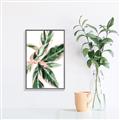 Picture of Leafy I _GroupedProduct_Rectangle_Portrait_Canvas_Framed_