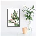 Picture of Leafy II _GroupedProduct_Rectangle_Portrait_Canvas_Framed_