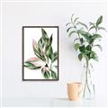 Picture of Leafy II _GroupedProduct_Rectangle_Portrait_Canvas_Framed_
