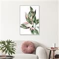 Picture of Leafy II _GroupedProduct_Rectangle_Portrait_Canvas_Framed_