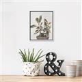 Picture of Pink Leaf House Plant _GroupedProduct_Rectangle_Portrait_Canvas_Framed_