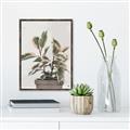 Picture of Pink Leaf House Plant _GroupedProduct_Rectangle_Portrait_Canvas_Framed_