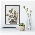 Picture of Pink Leaf House Plant _GroupedProduct_Rectangle_Portrait_Canvas_Framed_