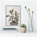Picture of Pink Leaf House Plant _GroupedProduct_Rectangle_Portrait_Canvas_Framed_
