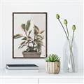 Picture of Pink Leaf House Plant _GroupedProduct_Rectangle_Portrait_Canvas_Framed_