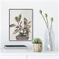 Picture of Pink Leaf House Plant _GroupedProduct_Rectangle_Portrait_Canvas_Framed_