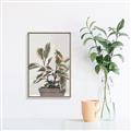 Picture of Pink Leaf House Plant _GroupedProduct_Rectangle_Portrait_Canvas_Framed_