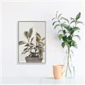 Picture of Pink Leaf House Plant _GroupedProduct_Rectangle_Portrait_Canvas_Framed_