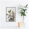 Picture of Pink Leaf House Plant _GroupedProduct_Rectangle_Portrait_Canvas_Framed_
