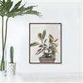 Picture of Pink Leaf House Plant _GroupedProduct_Rectangle_Portrait_Canvas_Framed_