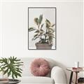 Picture of Pink Leaf House Plant _GroupedProduct_Rectangle_Portrait_Canvas_Framed_