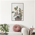 Picture of Pink Leaf House Plant _GroupedProduct_Rectangle_Portrait_Canvas_Framed_