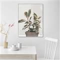 Picture of Pink Leaf House Plant _GroupedProduct_Rectangle_Portrait_Canvas_Framed_