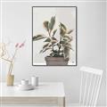 Picture of Pink Leaf House Plant _GroupedProduct_Rectangle_Portrait_Canvas_Framed_
