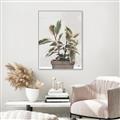 Picture of Pink Leaf House Plant _GroupedProduct_Rectangle_Portrait_Canvas_Framed_